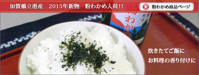 2012ǯ¿·ÊªÊ´¤ï¤«¤áÆþ²Ù¤·¤Þ¤·¤¿